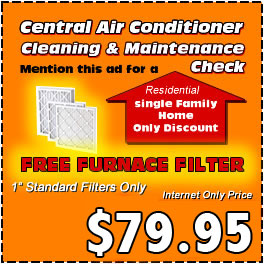 Central Air Conditioner Cleaning and Maintenance Check 